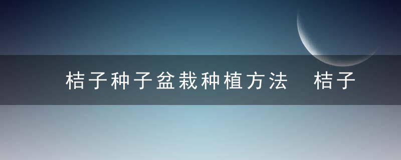 桔子种子盆栽种植方法 桔子种子盆栽怎么种